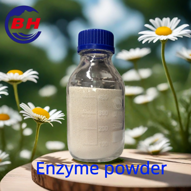 Enzyme powder H8808