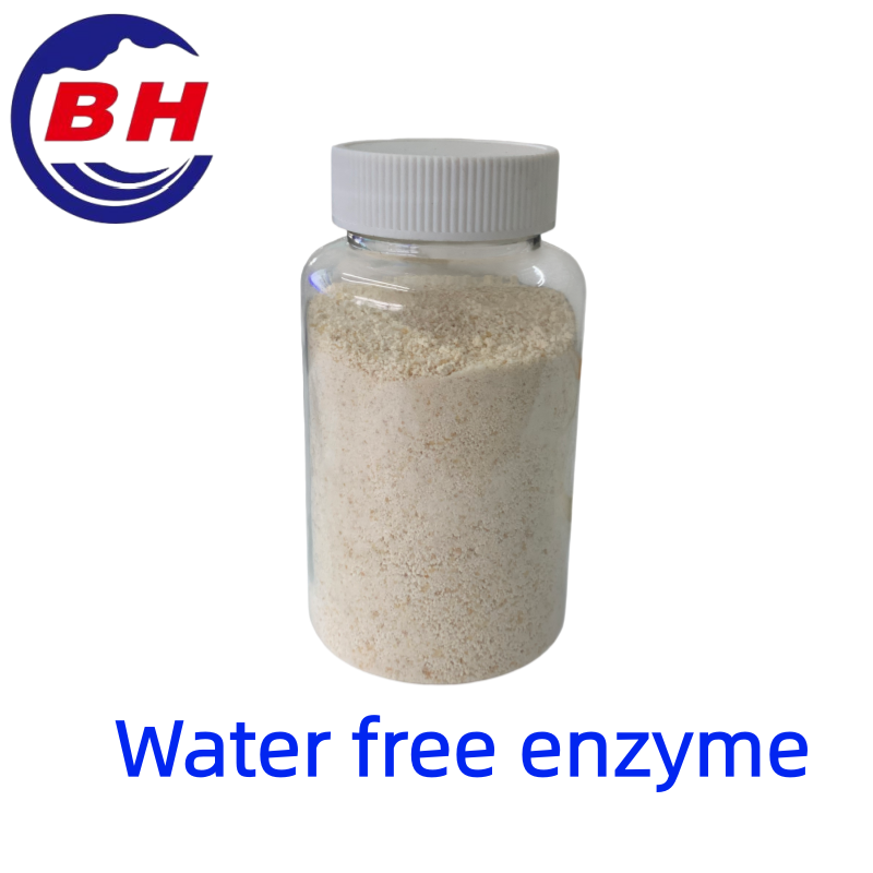 Water free enzyme H8811